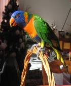 Avatar de l’utilisateur