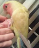 Avatar de l’utilisateur