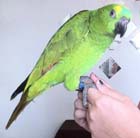 Avatar de l’utilisateur