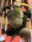 Avatar de l’utilisateur