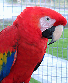 Avatar de l’utilisateur