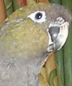Avatar de l’utilisateur