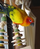 Avatar de l’utilisateur