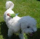 Avatar de l’utilisateur