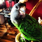 Avatar de l’utilisateur