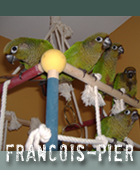 Avatar de l’utilisateur