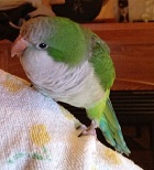 Avatar de l’utilisateur