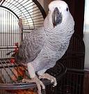 Avatar de l’utilisateur