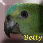 Avatar de l’utilisateur