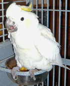 Avatar de l’utilisateur