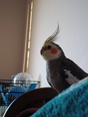 Avatar de l’utilisateur