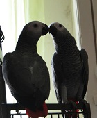 Avatar de l’utilisateur