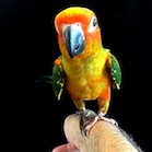 Avatar de l’utilisateur