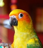 Avatar de l’utilisateur