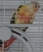 Avatar de l’utilisateur