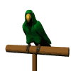Avatar de l’utilisateur