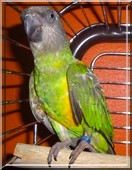 Avatar de l’utilisateur