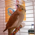 Avatar de l’utilisateur