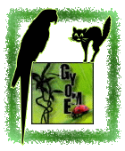 Avatar de l’utilisateur