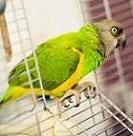 Avatar de l’utilisateur