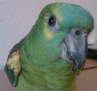 Avatar de l’utilisateur