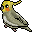 :cockatiel4: