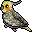:cockatiel7: