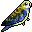 :rosella4: