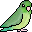 :parrotlet1: