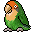 :lovebird6: