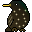 :starling:
