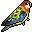 :rosella1: