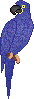 :ara4: