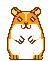 :hamster: